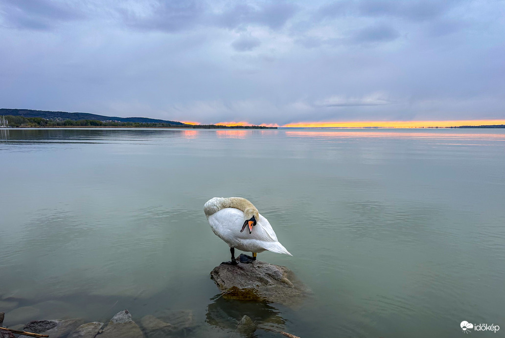 Süss már ki légyszi!