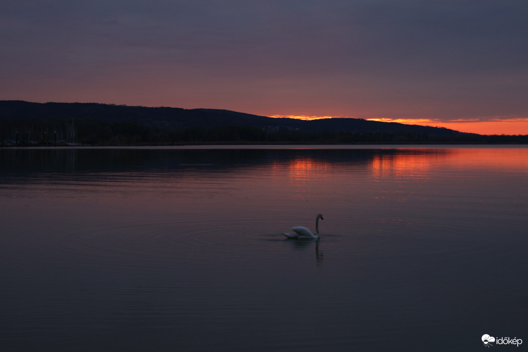 Mindig a fény felé