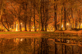 Meleg fényű este a parkban