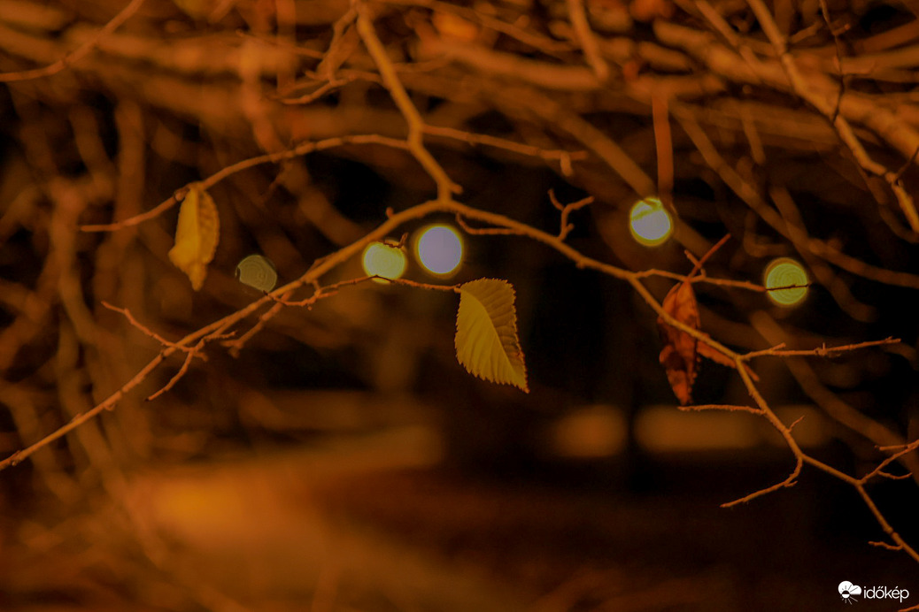 Gyöngysor és az utolsó 