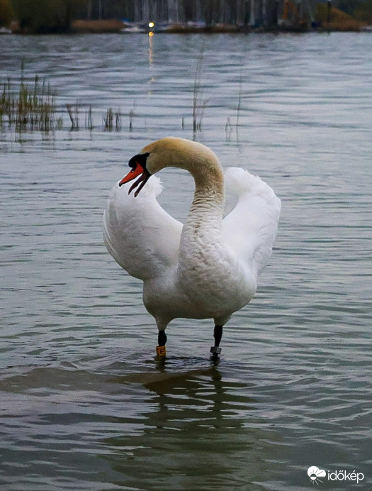 Valaki tudja, hogy mikor lesz napsütés végre?