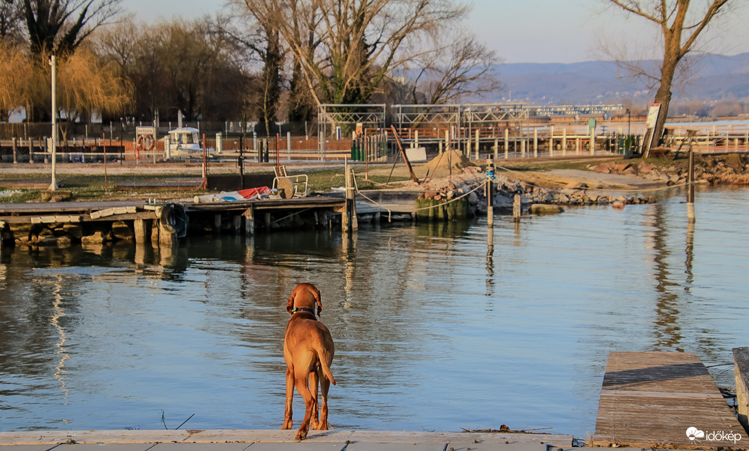 Ha jól látom és érzem tavasz vaaan :) 