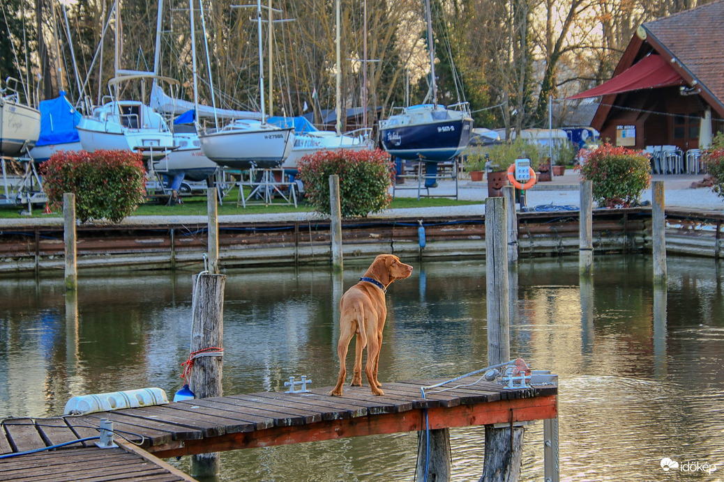 Keszthely-i merengő