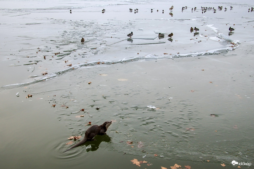 Hello srácok, megjöttem!