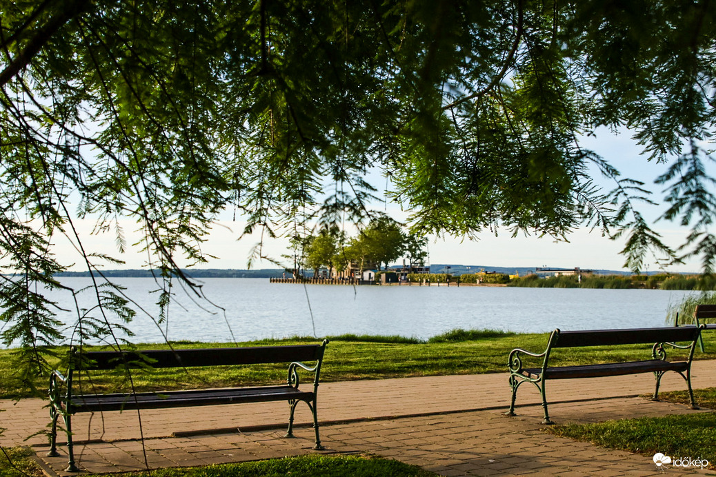 Üde reggel a zöld ezer árnyalatával