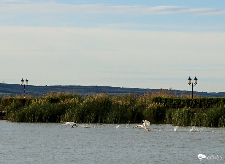 Területféltésből elkövetett fogócska