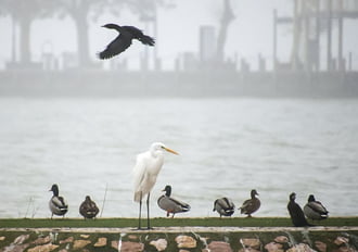 Megyünk vagy maradunk?