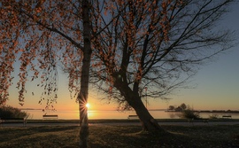 Fagyott ujjak, lassabb kattintás