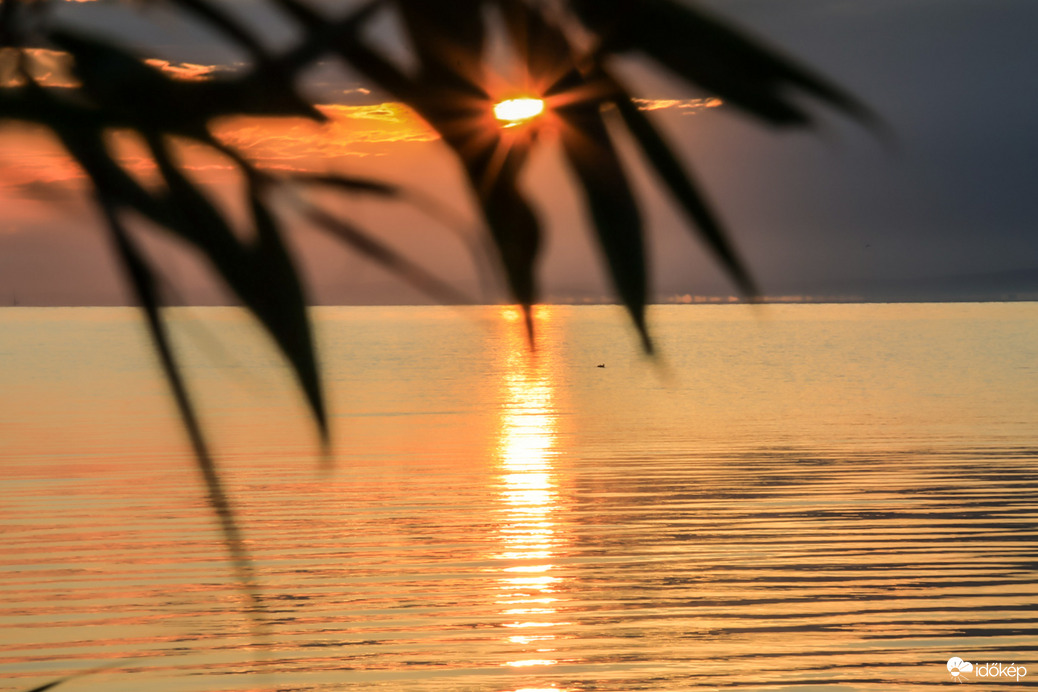 Jó reggelt Napfény