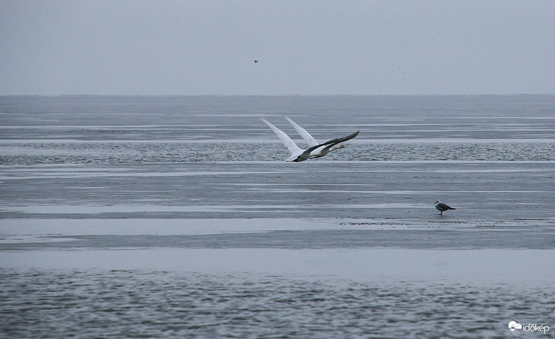 Találkozás a jégen