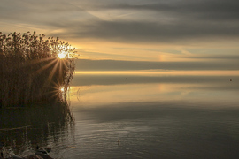 Bekacsintós melléknapos