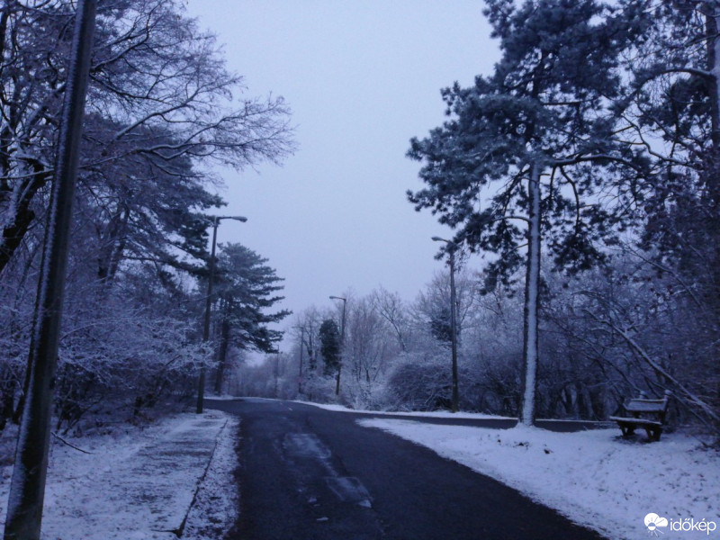 Észlelési fényképek