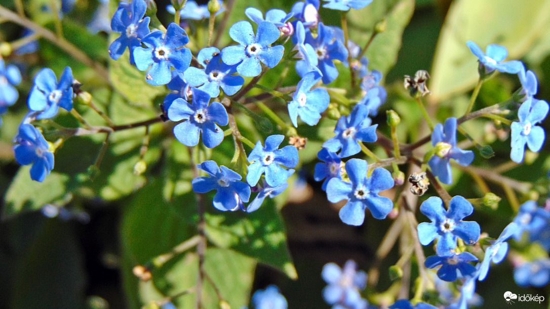 Kellemes Húsvéti Ünnepeket Kívánok Mindenkinek ! 