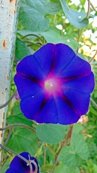 07.06