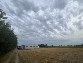 Кањижа