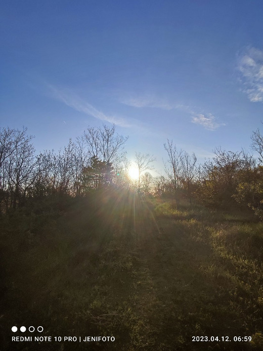 Észlelési fényképek