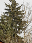 Szentgotthárd