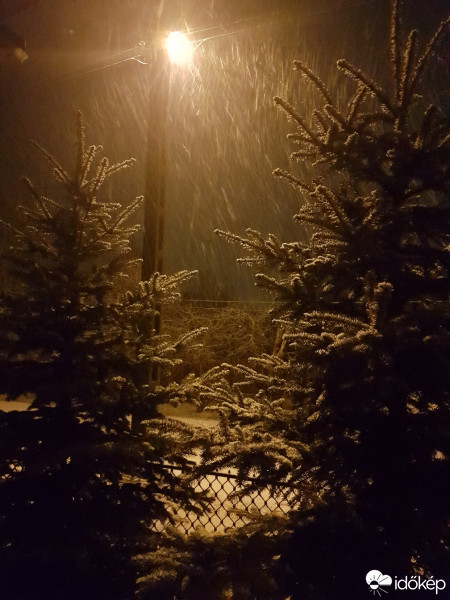 Észlelési fényképek