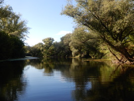 Ipolydamásd