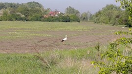 Balmazújváros