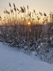 Naplemente a Mátra lábánál