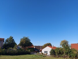 Waldzell