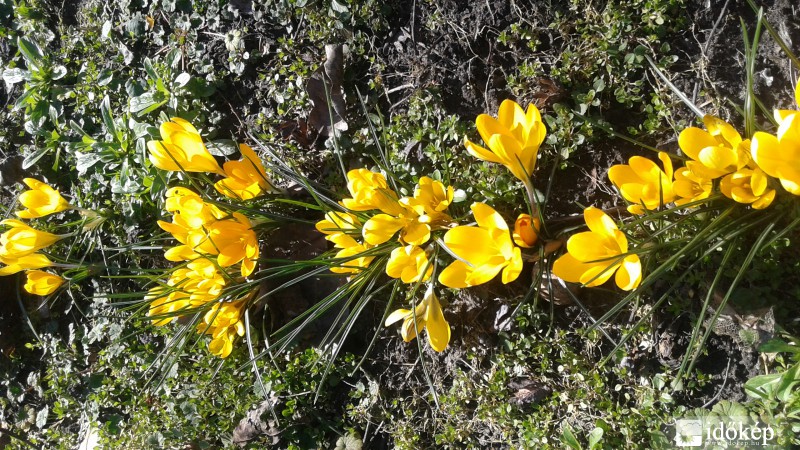 Még mindig szépek...