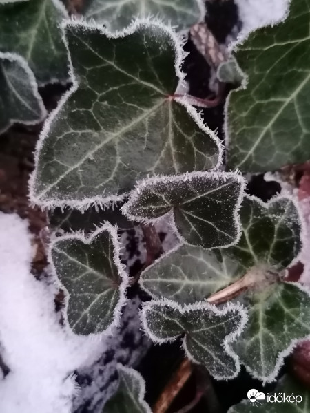 Tél van, hideg tél...