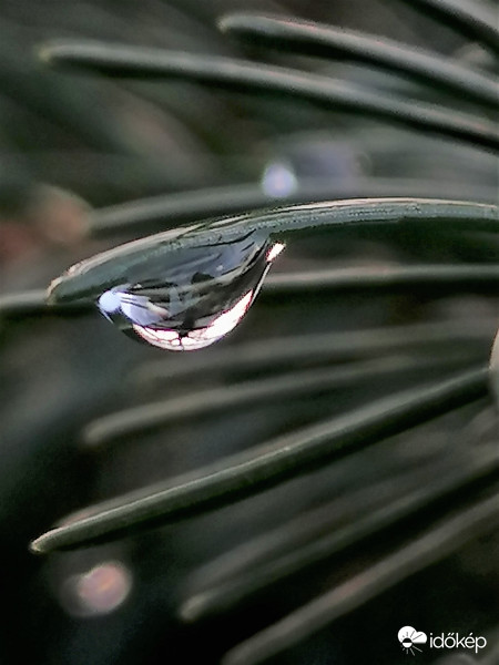 Vízcsepp...
