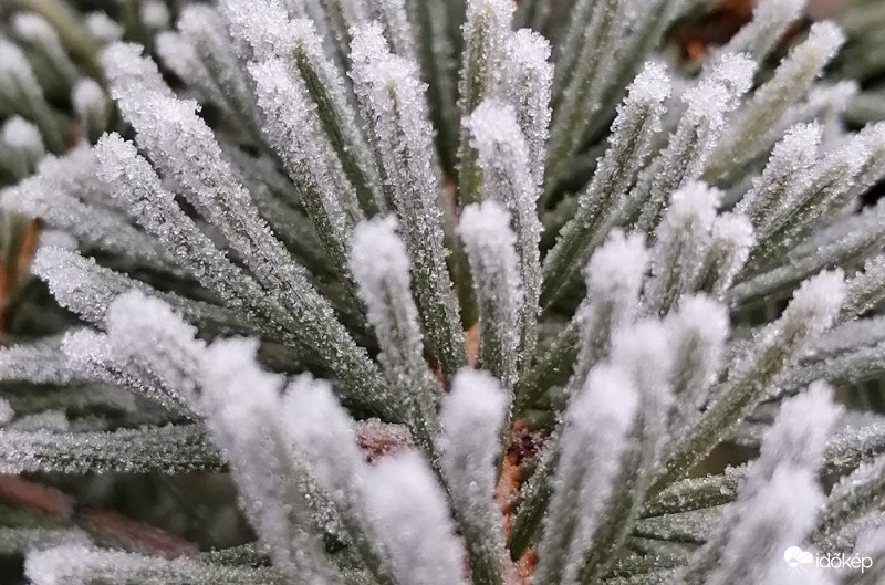 A tél szépsége...