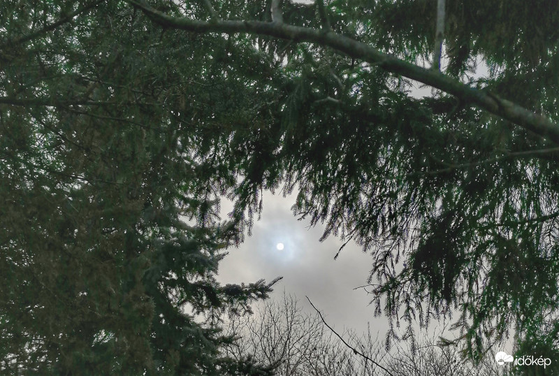 Lassan, de megmutatja magát...