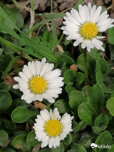 Még egy kis tavasz...