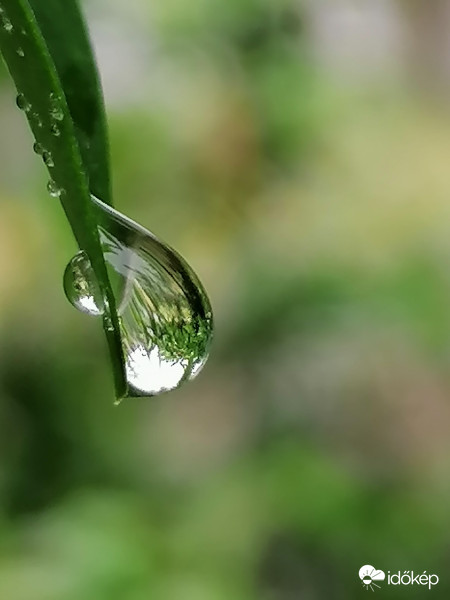 Cseppek...
