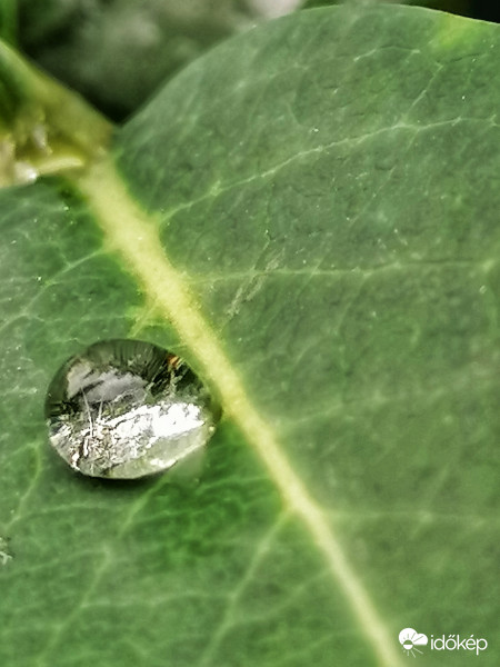 Csak egy csepp...