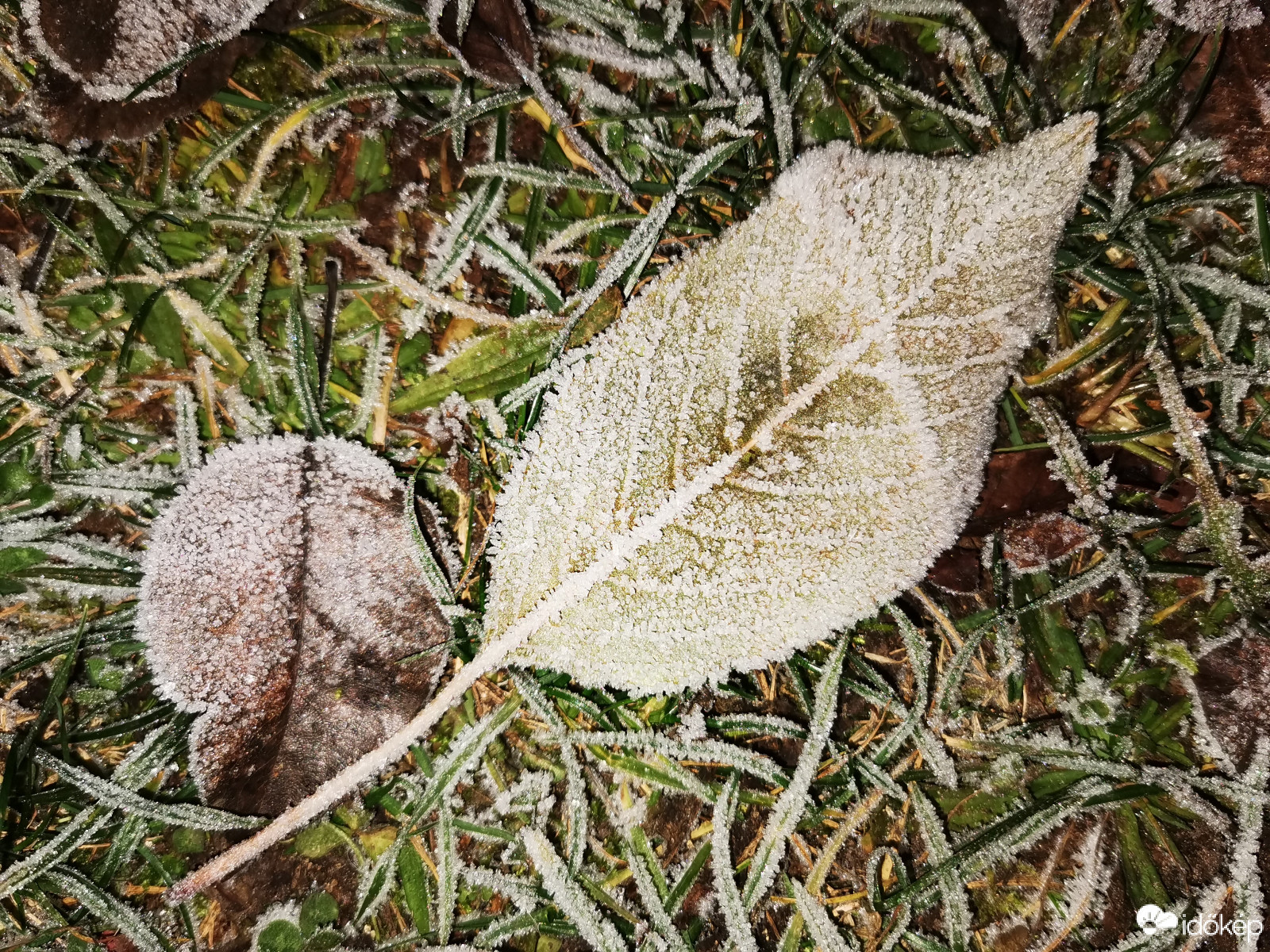 Esti félhomályban...