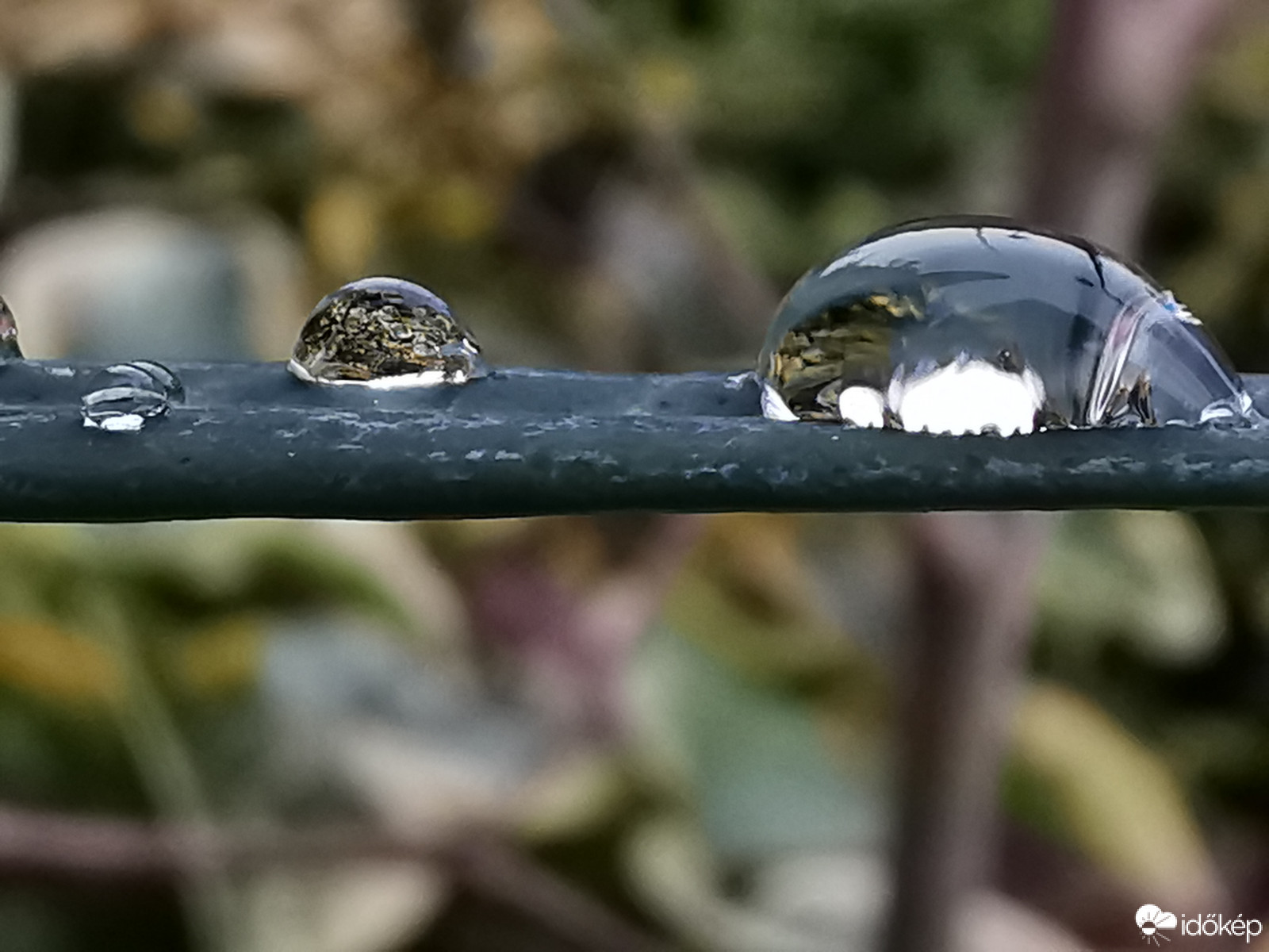 2020. utolsó cseppjei... Boldog új évet mindekinek!