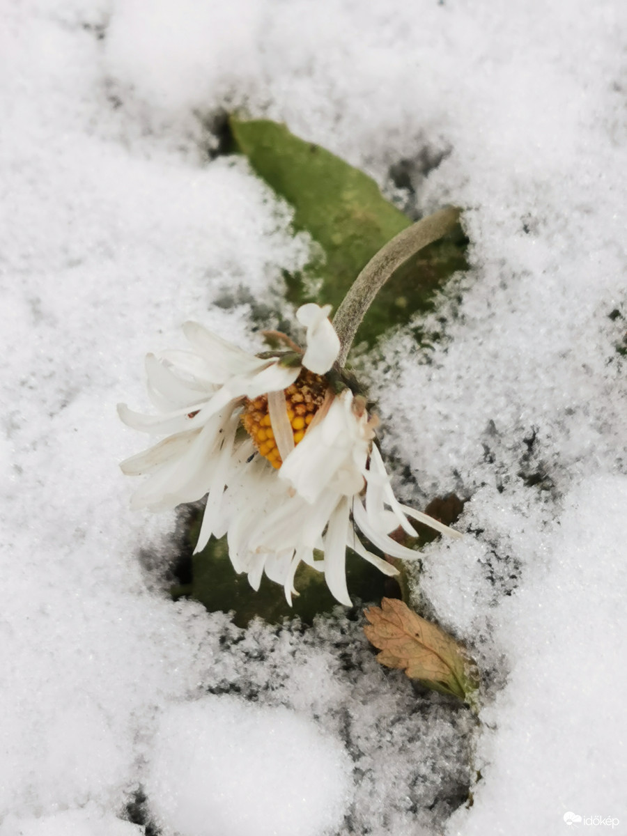 Hóba zárva...