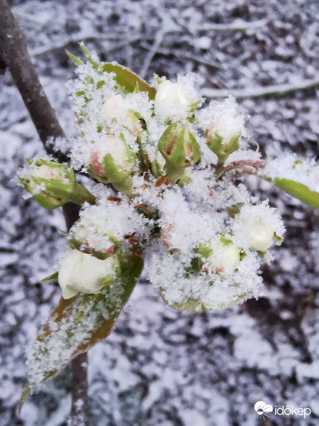 Ma reggeli havazás...