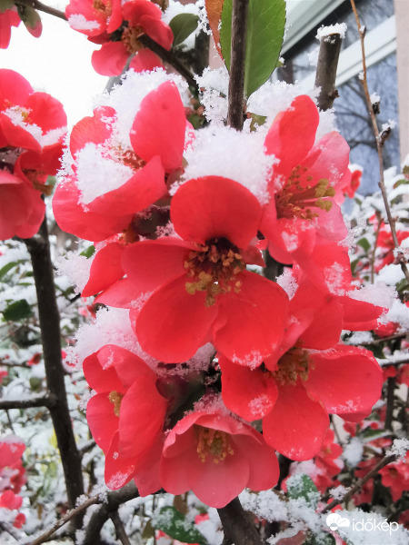 Ma reggeli havazás...