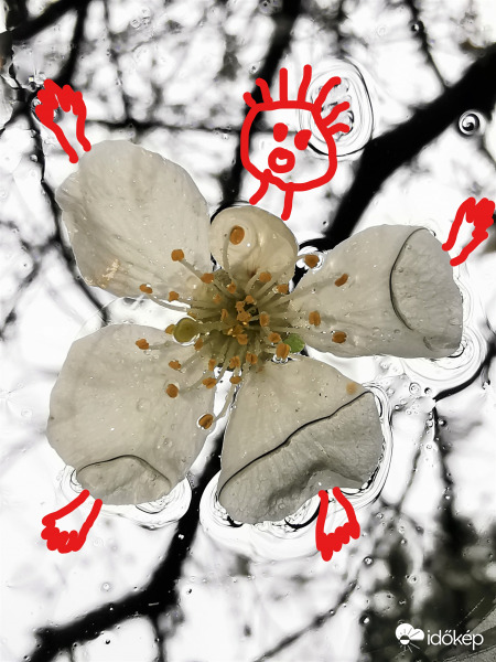 Engedj be, hideg van!