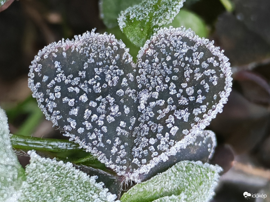 Reggeli -2 °C-os fagyos szív 