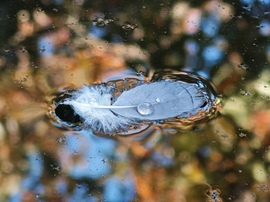 Őszi színes vízreszállás... 