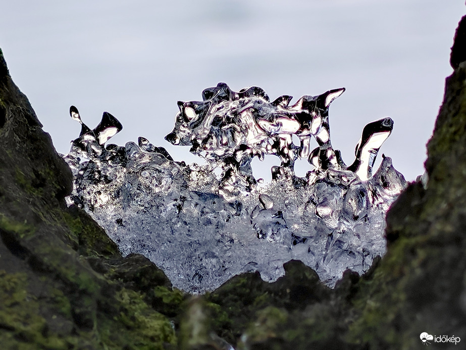 Faágak közt olvadó hó... 