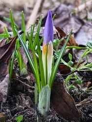 Már van valami tavaszias a levegőben :) 