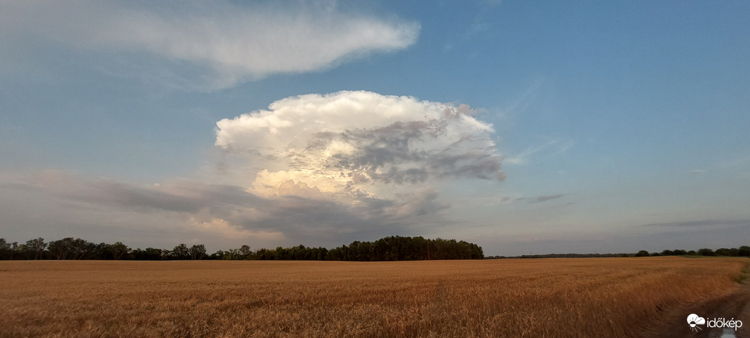 Felhőcske