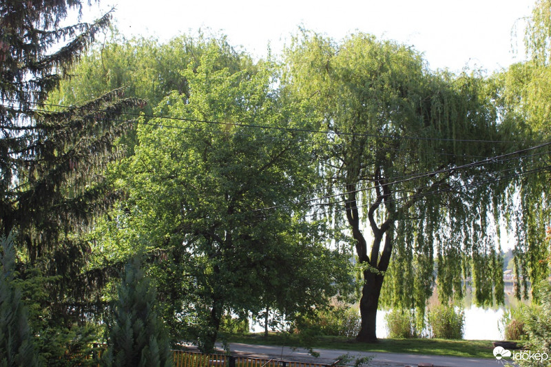 Környe
