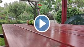 Budapest XVI.ker - Cinkota