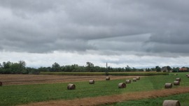 marcang37 fotója