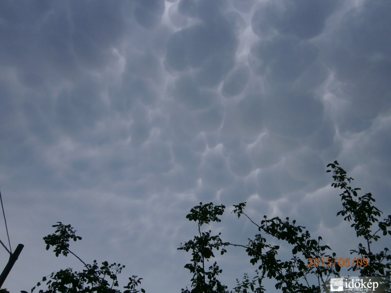 Észlelési fényképek