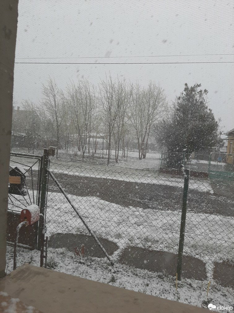 Észlelési fényképek